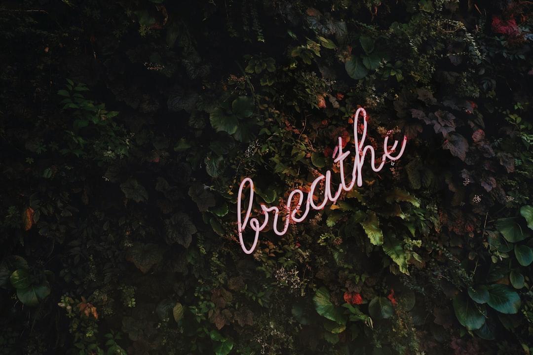 Life Changing Quotes