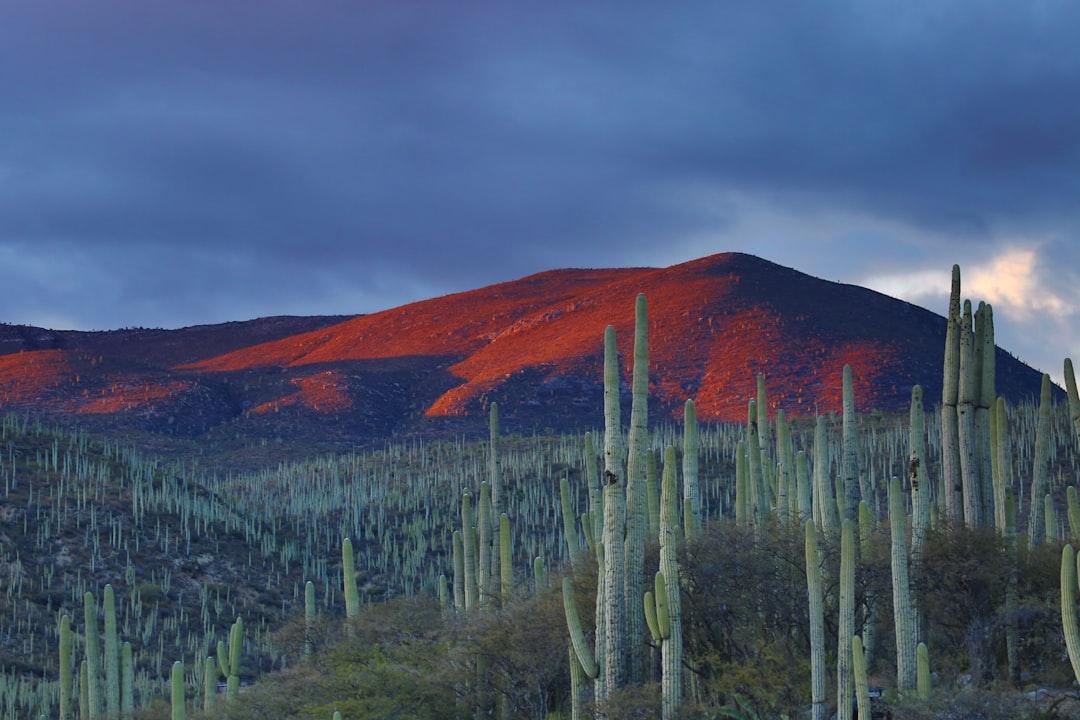📡 06. Zone of Silence, Mexico – Where Signals Die