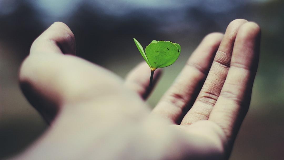 2. Embrace Discomfort: Your Growth Zone