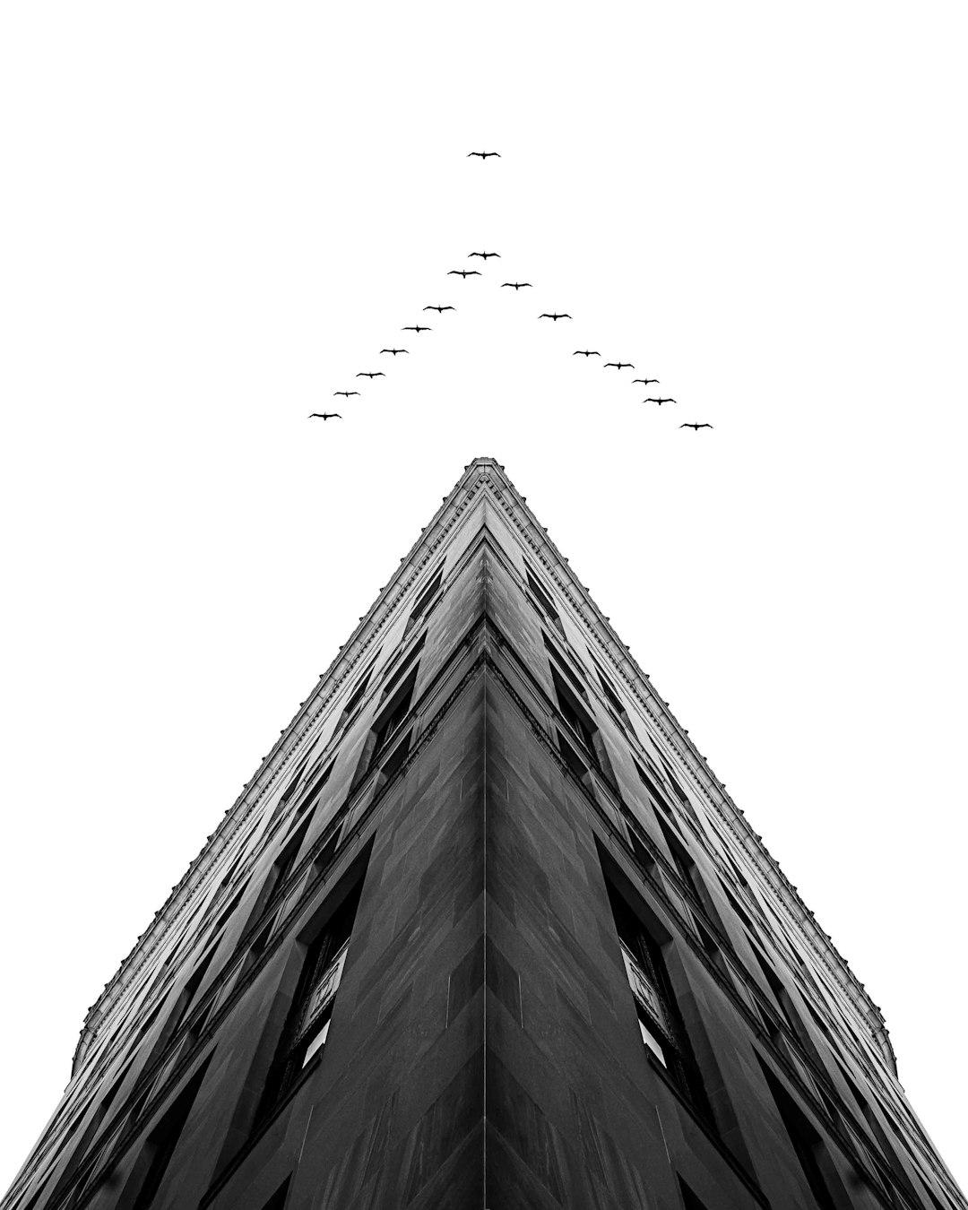 Visualization And Anchoring Override Limits
