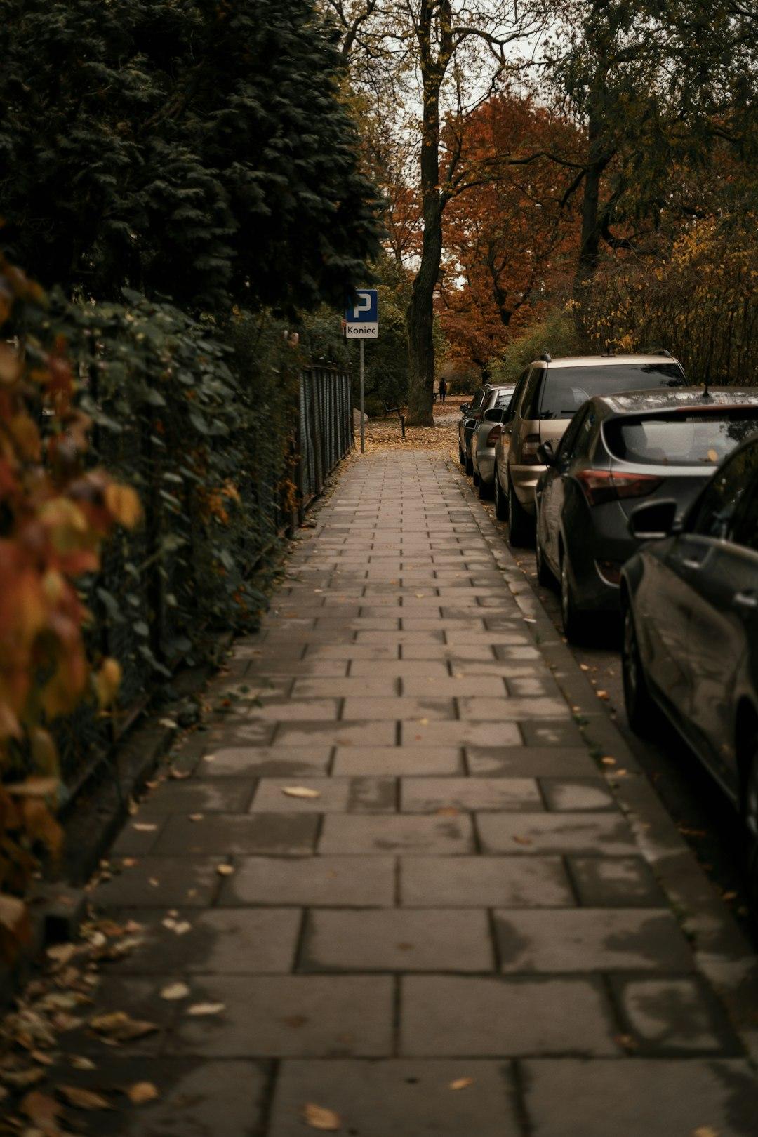 The Premise: Sidewalk, Slowlane, Fastlane
