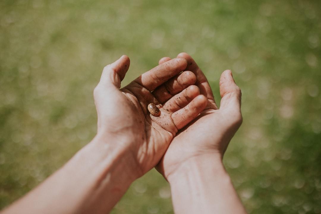 6. Toward Integration: Love + Will = Growth