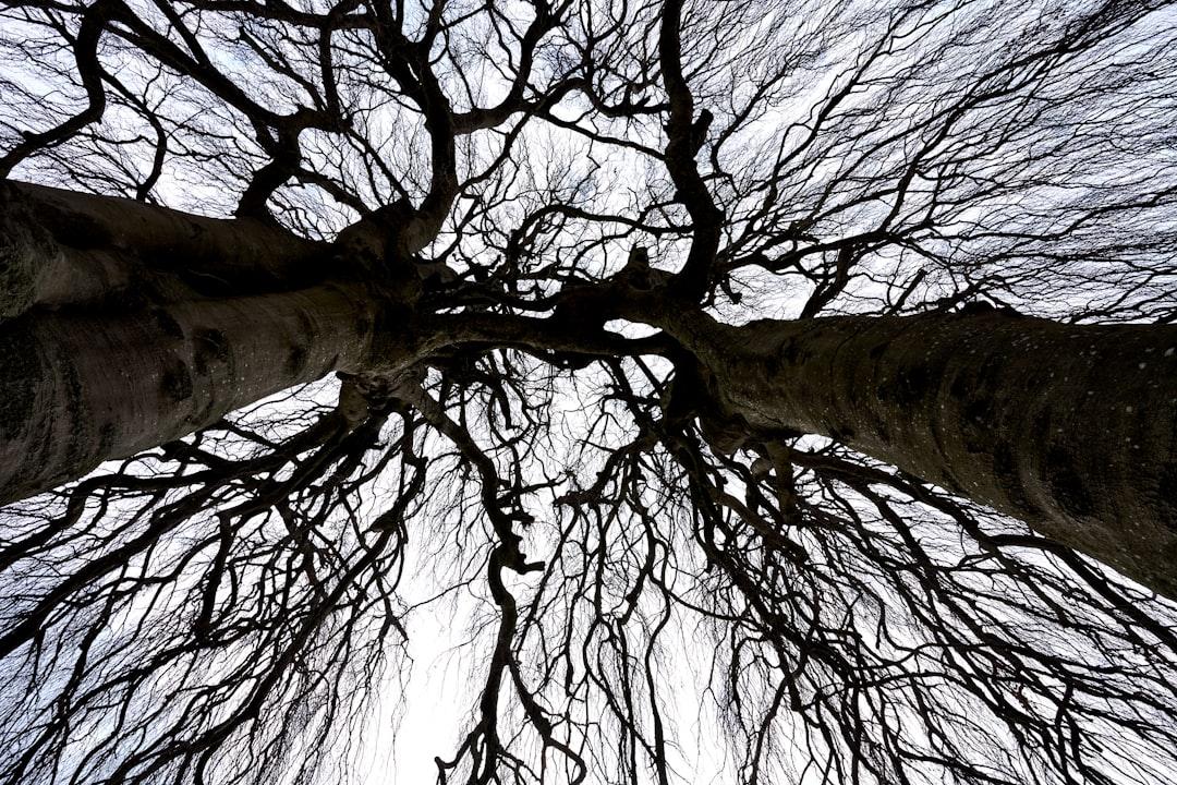 Scientific and Philosophical Roots